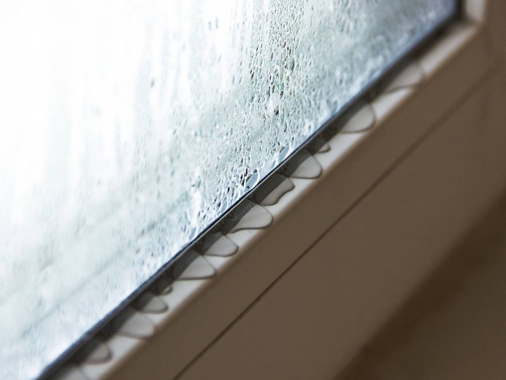 condensation in Sydney houses