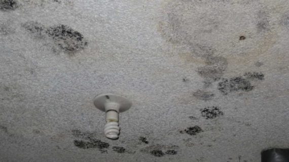 bathroom mould ceiling