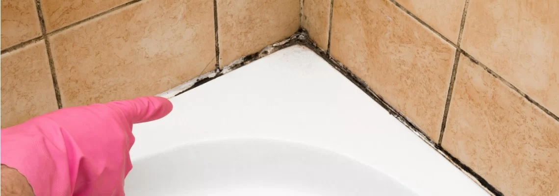 babthroom mould