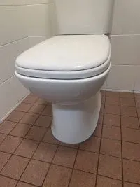 how to unclog a blocked toilet