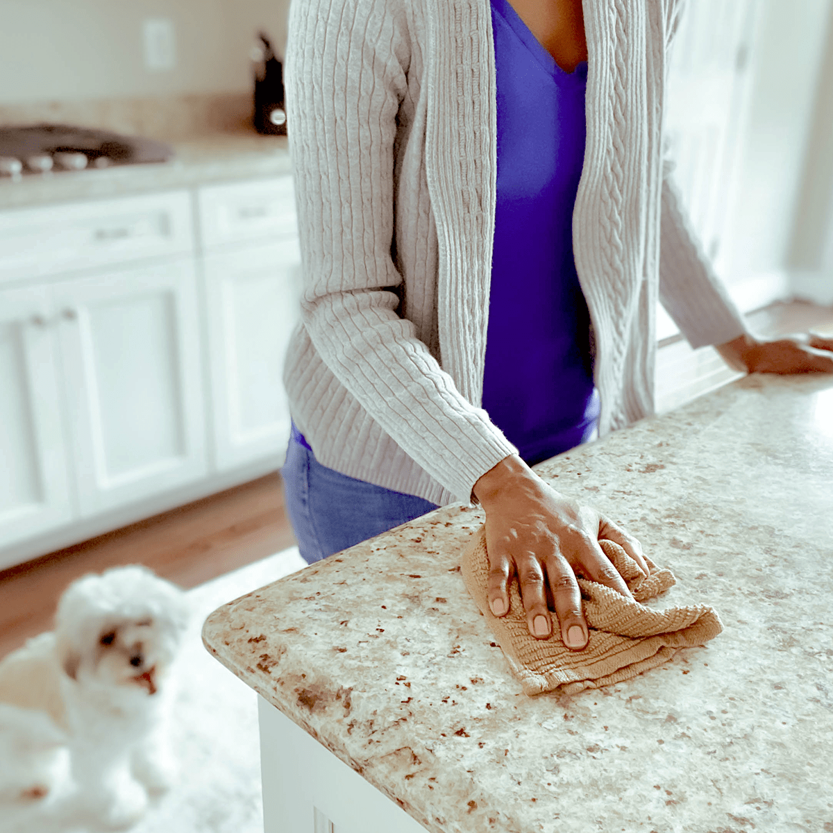 feature-safe-household-pet-cleaners
